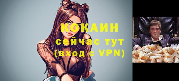 прущий лед Верея