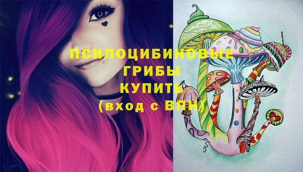 прущий лед Верея