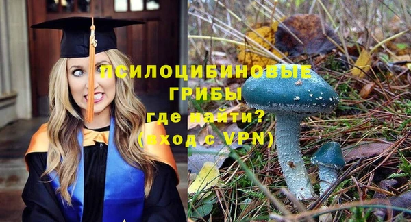 стаф Волосово
