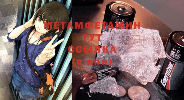 индика Володарск