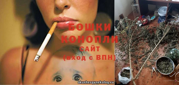 стаф Волосово