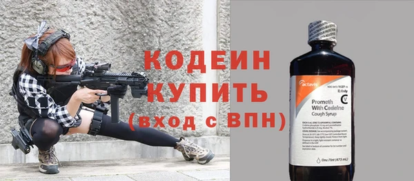 индика Володарск
