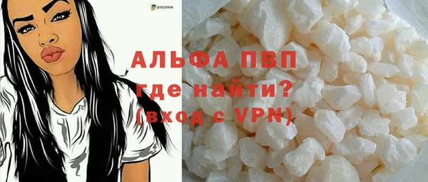индика Володарск