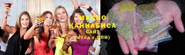 индика Володарск