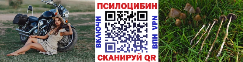 blacksprut рабочий сайт  Калязин  Галлюциногенные грибы Psilocybe  как найти закладки 